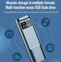 8GB voice recorder usb stick mp3 speler