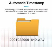 32GB voice recorder usb stick - 25 uur opnemen